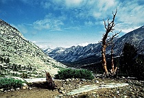 Looking Down Bubbs Creek Drainage